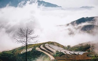 冬にちなんだギター演奏