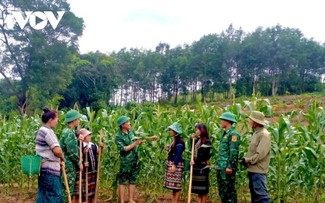 「村へ向かう土曜日」：国境地帯に広がる軍隊と住民の温かな絆