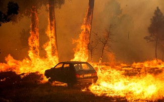 気候変動：2025年は観測史上3番目の高温の年に