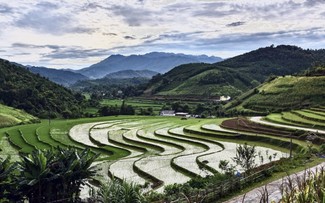 “宽慰节”——岱依族和侬族同胞对水牛的感恩节