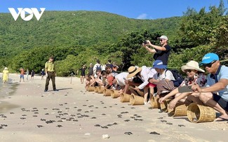 Con Dao – Eine Reise zur Entwicklung der Kreislaufwirtschaft inmitten unberührter Natur