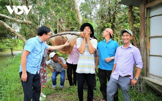 Wildbienenzucht im Wald U Minh Ha