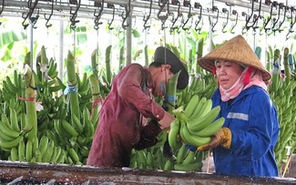 Briefkastensendung vom 03.12.2025