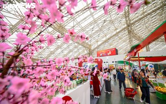 Waren „Made in Vietnam“: Chancen zum Durchbruch auf dem Binnenmarkt zum Tetfest