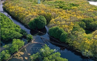 Biosphärenreservate zu Mustern für nachhaltige Entwicklung aufbauen