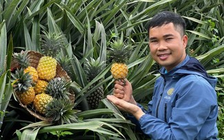 Blätter werden zum Exportrohstoff in Nghe An
