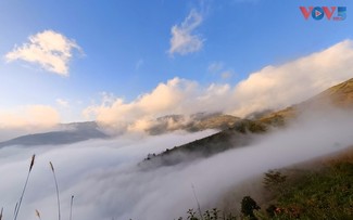 Surga Awan Ta Xua – Destinasi Global 2026