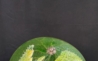 Вьетнамские стартапы вместе с правительством добиваются цели «Ноль отходов»