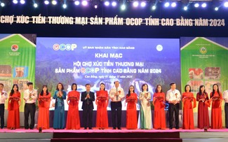 Xúc tiến thương mại, quảng bá sản phẩm OCOP 