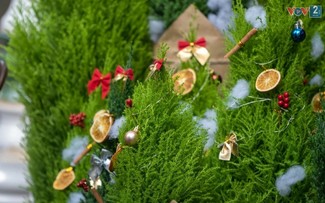 Sôi động thị trường Giáng sinh tại một số thành phố lớn