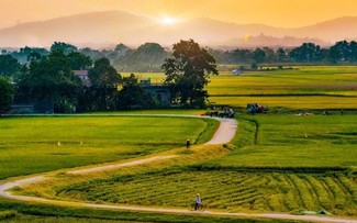 Quà tặng âm nhạc 