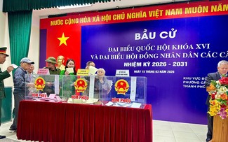 Kiều bào gửi gắm niềm tin qua lá phiếu