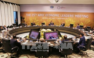 APEC 2017 helps elevate Vietnam’s global status 