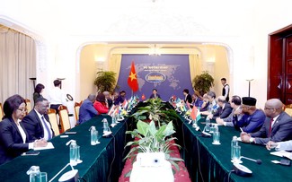 Vietnam, Africa seek to strengthen cooperation 