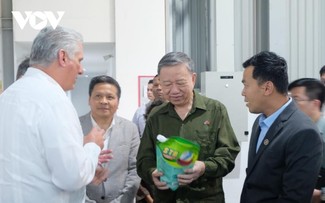 Top leader visits Mariel Special Development Zone in Cuba