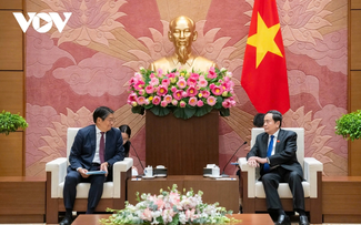 Vietnam considers Japan a top important, long-term partner: NA Chairman