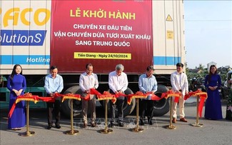 Tien Giang exports first batch of coconuts to China 