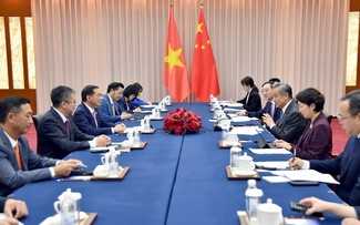 Vietnam values Mekong-Lancang cooperation, says Deputy PM 