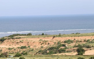 IAEA sees Vietnam’s progress to restart Ninh Thuan nuclear power plant 