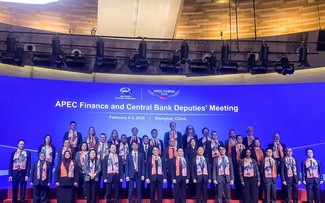 Vietnam shares finance experience at APEC meeting