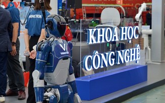 Vietnamese granted over 1,100 patents in 2025