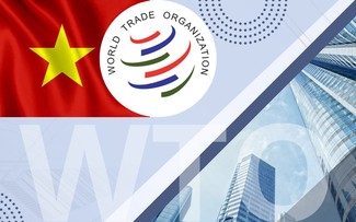 Vietnam's economy operates according to market laws, WTO regulations