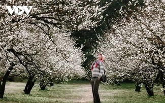 Зима на высокогорье Моктяу в цветах