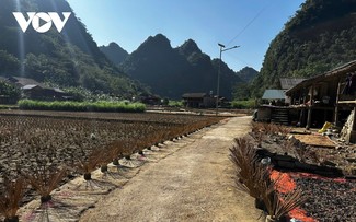 Bảo tồn và phát huy giá trị làng hương trăm tuổi Phia Thắp