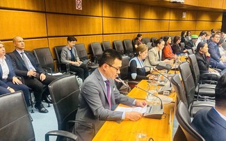 Việt Nam cam kết vì một thế giới không còn thử vũ khí hạt nhân