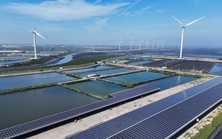 Năng lượng tái tạo: Điểm sáng trong cuộc chiến chống biến đổi khí hậu