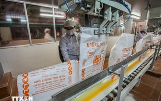 Kim ngạch thương mại Việt Nam - Ấn Độ đạt mốc lịch sử gần 16,46 tỷ USD