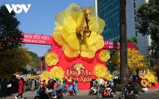 Người dân Thành phố Hồ Chí Minh đón Tết sớm tại Đường mai, Phố ông đồ