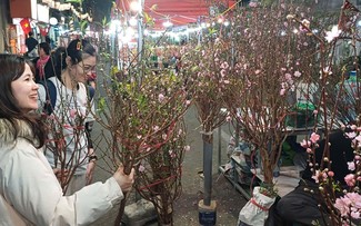 Phố cổ Hà Nội khai mạc chợ hoa truyền thống