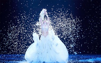 Khổng tước – vũ khúc của sự sống và tình yêu