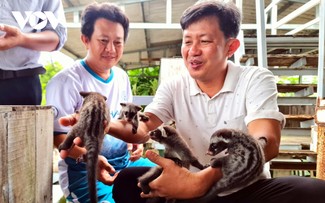 Ca Mau farmer prospers from raising ferrets