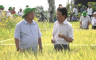 Tien Giang’s farmer becomes successful businessman