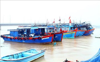 IUU fishing combat intensified in Quang Binh