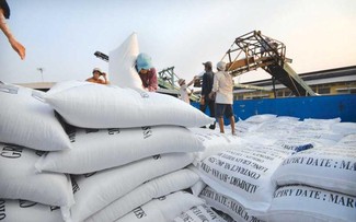 Vietnam’s rice export prices remain highest worldwide