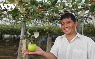 From fields to fame: The rise of Tan My fruit under a dynamic cooperative leader 