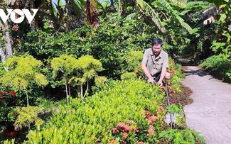 From battlefield to farmland: Ca Mau veteran spurs local economic growth 