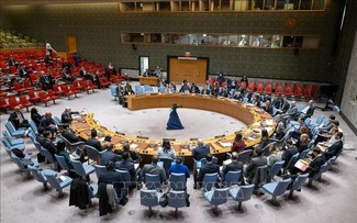 5 countries begin their terms as UN Security Council non-permanent members