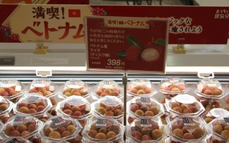 Vietnam's agriculture exports to Japan increase 18% 