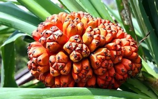 Chế độ ăn uống và luyện tập giúp cơ thể phòng chống bệnh tật