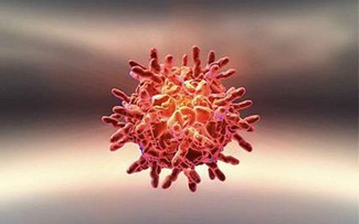 Cách phòng và điều trị khi nhiễm virus đường hô hấp