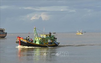 Không để ảnh hưởng đến nỗ lực chung gỡ “Thẻ vàng” của EC