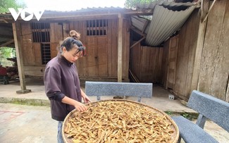 Mô hình thương mại hai chiều tạo động lực phát triển kinh tế miền núi