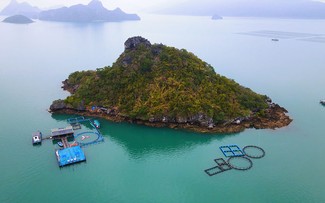 Quảng Ninh nuôi trồng thủy sản thích ứng với thiên tai