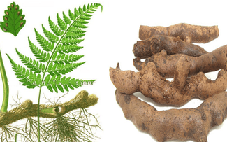 Phòng bệnh cơ, xương, khớp vào mùa xuân