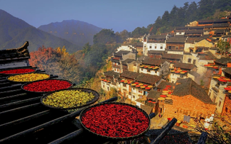 Thính giả quan tâm tới sự kiện bầu cử ở Việt Nam cùng  nhiều lĩnh vực đời sống xã hội