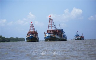 Провинция Анзянг усиливает пропаганду о борьбе с ННН-промыслом